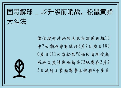 国哥解球 _ J2升级前哨战，松鼠黄蜂大斗法